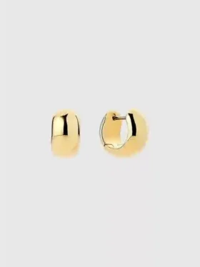 Ana Luisa Giulia: aretes de aro gruesos en oro