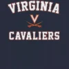 Camiseta con diseño clásico del campus de la Universidad de Virginia