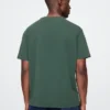Camiseta con diseño de los Green Bay Packers de la NFL para adultos