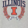 Camiseta con diseño gráfico oscuro «Laurels» de la Universidad de Illinois
