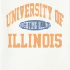Camiseta con diseño vintage de los Fighting Illini de la Universidad de Illinois