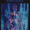 Camiseta corta con diseño de Nirvana de tejido grueso