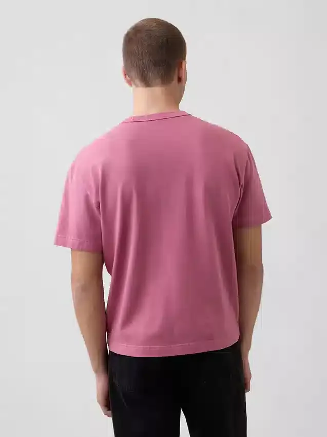 Camiseta corta de peso pesado para adultos