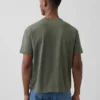 Camiseta corta de peso pesado para adultos