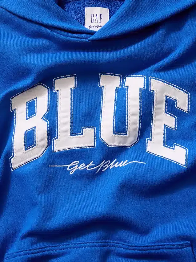 Consigue la sudadera con capucha de felpa francesa gruesa azul con logotipo