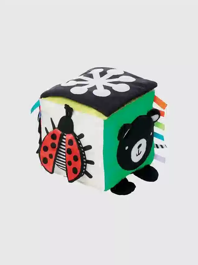 Cubo de descubrimiento Wimmer