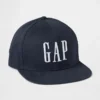 Gorra de béisbol de algodón orgánico con el Gap Logo