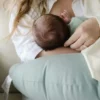 Soporte para la alimentación