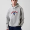 Sudadera con capucha oversize con logo Americana de Vintagesoft