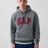 Sudadera con capucha para adultos Vintagesoft Arch Logo