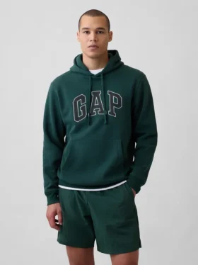 Sudadera con capucha para adultos Vintagesoft Arch Logo