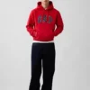 Sudadera con capucha para adultos Vintagesoft Arch Logo
