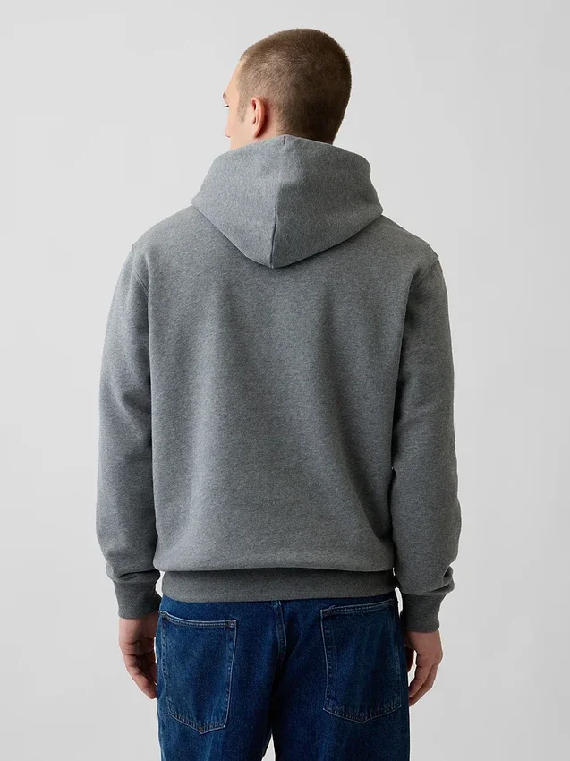 Sudadera con capucha para adultos Vintagesoft Arch Logo