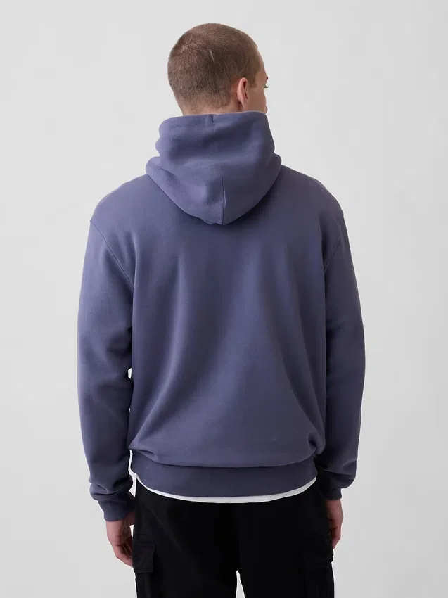 Sudadera con capucha para adultos Vintagesoft Arch Logo
