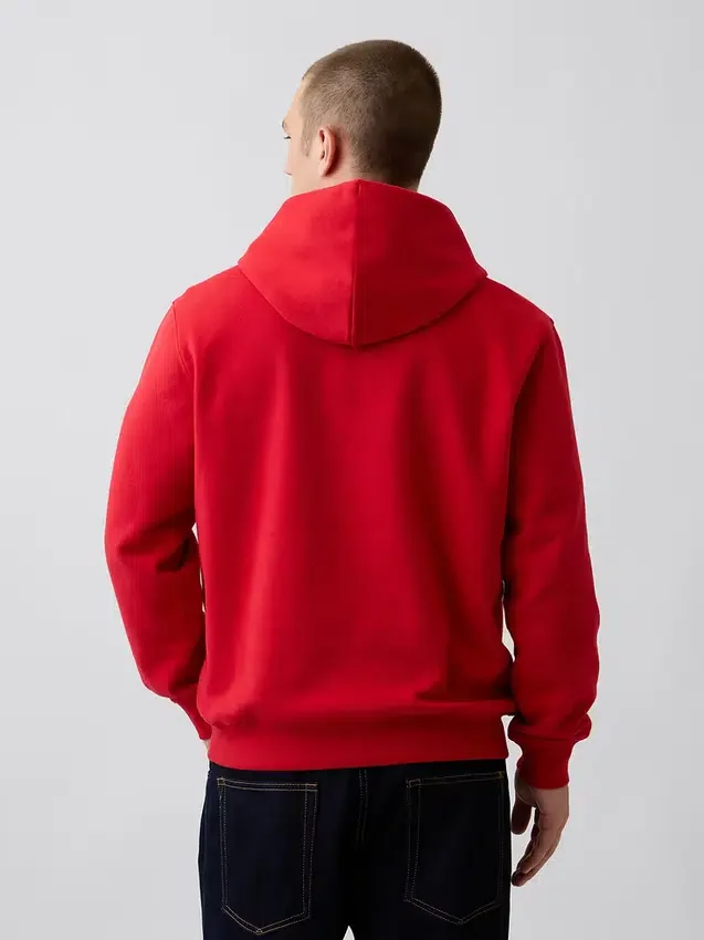 Sudadera con capucha para adultos Vintagesoft Arch Logo