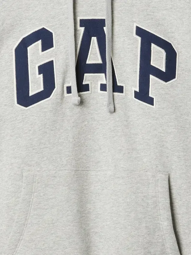 Sudadera con capucha para adultos Vintagesoft Arch Logo