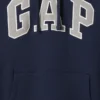 Sudadera con capucha para adultos Vintagesoft Arch Logo