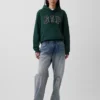 Sudadera con capucha para adultos Vintagesoft Arch Logo
