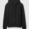Sudadera con capucha para adultos Vintagesoft Arch Logo