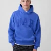 Sudadera con capucha para adultos Vintagesoft con logo Nap