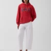 Sudadera con capucha para adultos Vintagesoft Relaxed Logo