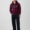 Sudadera con capucha y cremallera para adultos Vintagesoft Arch Logo